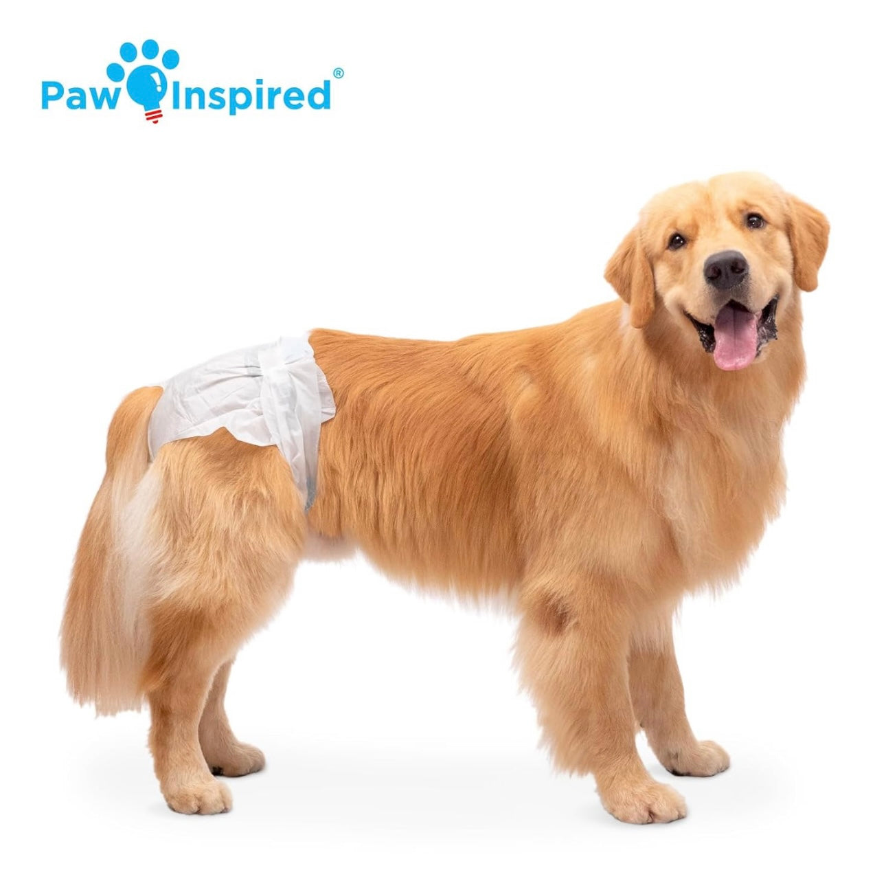 AA Dog Disposable Diapers Female XL- Waist: 22”-35” Paw Inspired (20 Diapers) NEW