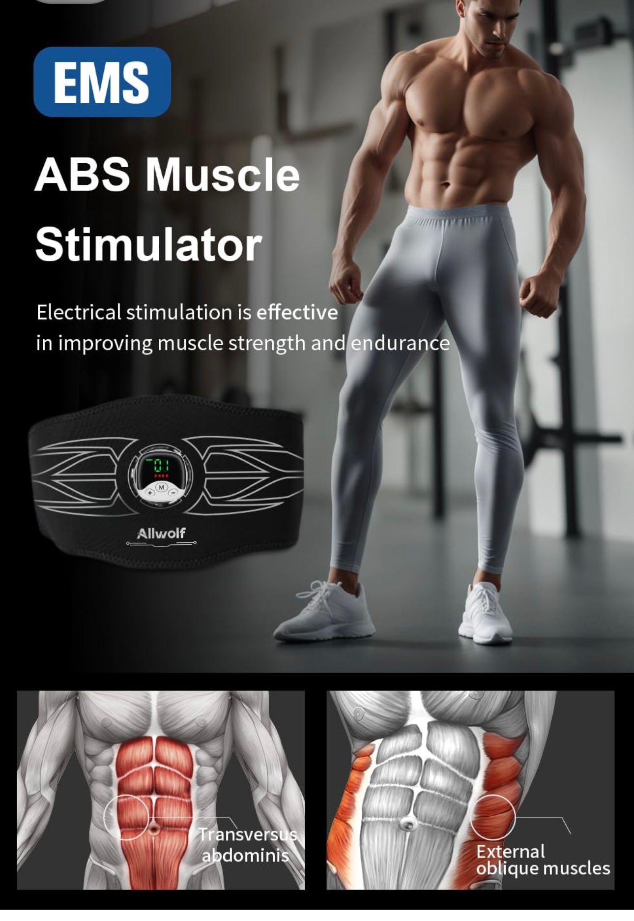 AA Abdominal Fitness Belt, Abs Muscle Stimulator, Abdominal Toning Belt For Men and Women ALLWOLF Black NEW