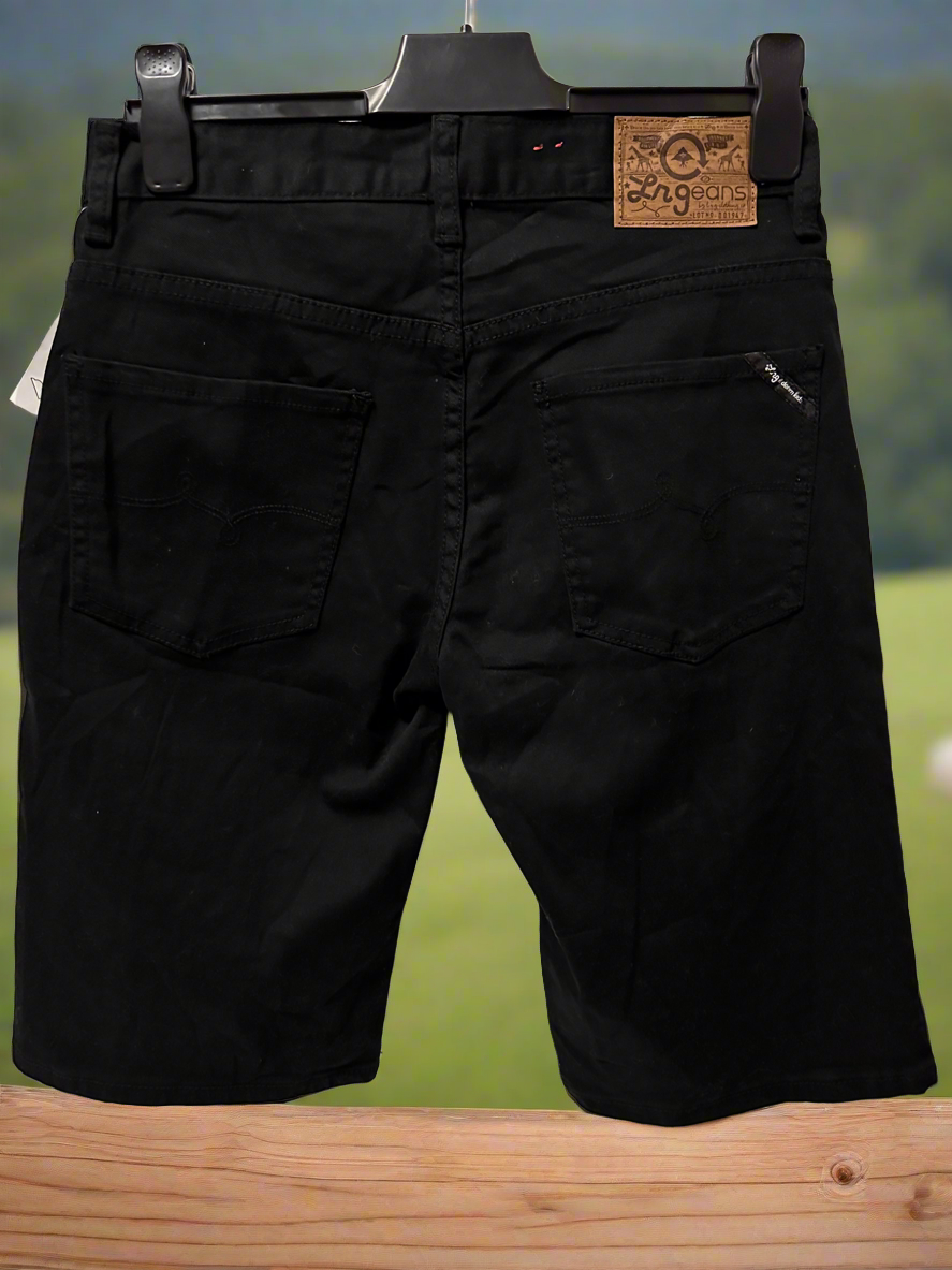 AB Shorts Men LRG 30 NWT