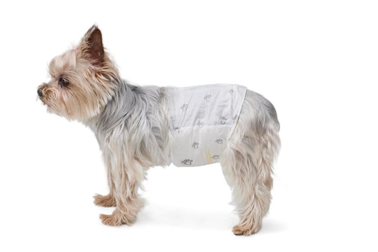 AA Dog Disposable Diapers Male Wrap X-SMALL Amazon Basics       (30 Pcs)NEW
