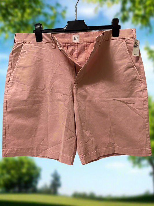 AB Shorts Men GAP 38 NWT